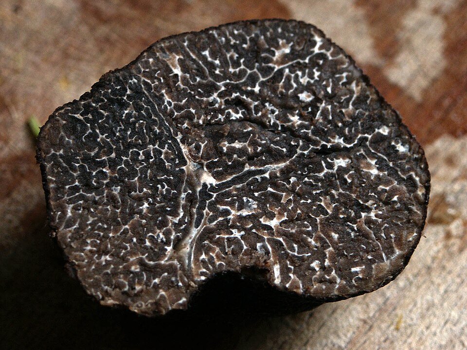 The Hidden Gold in British Woodlands: A Chef's Guide to UK Truffles